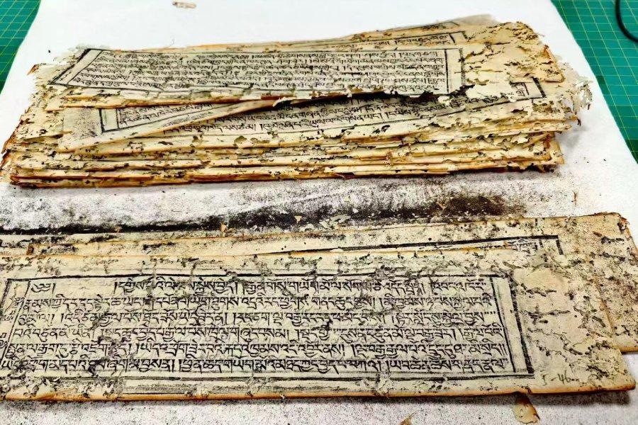 U-20251031103736-589.jpg U-20251031103736-589.jpg